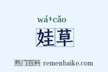 娃草是什么意思的图片